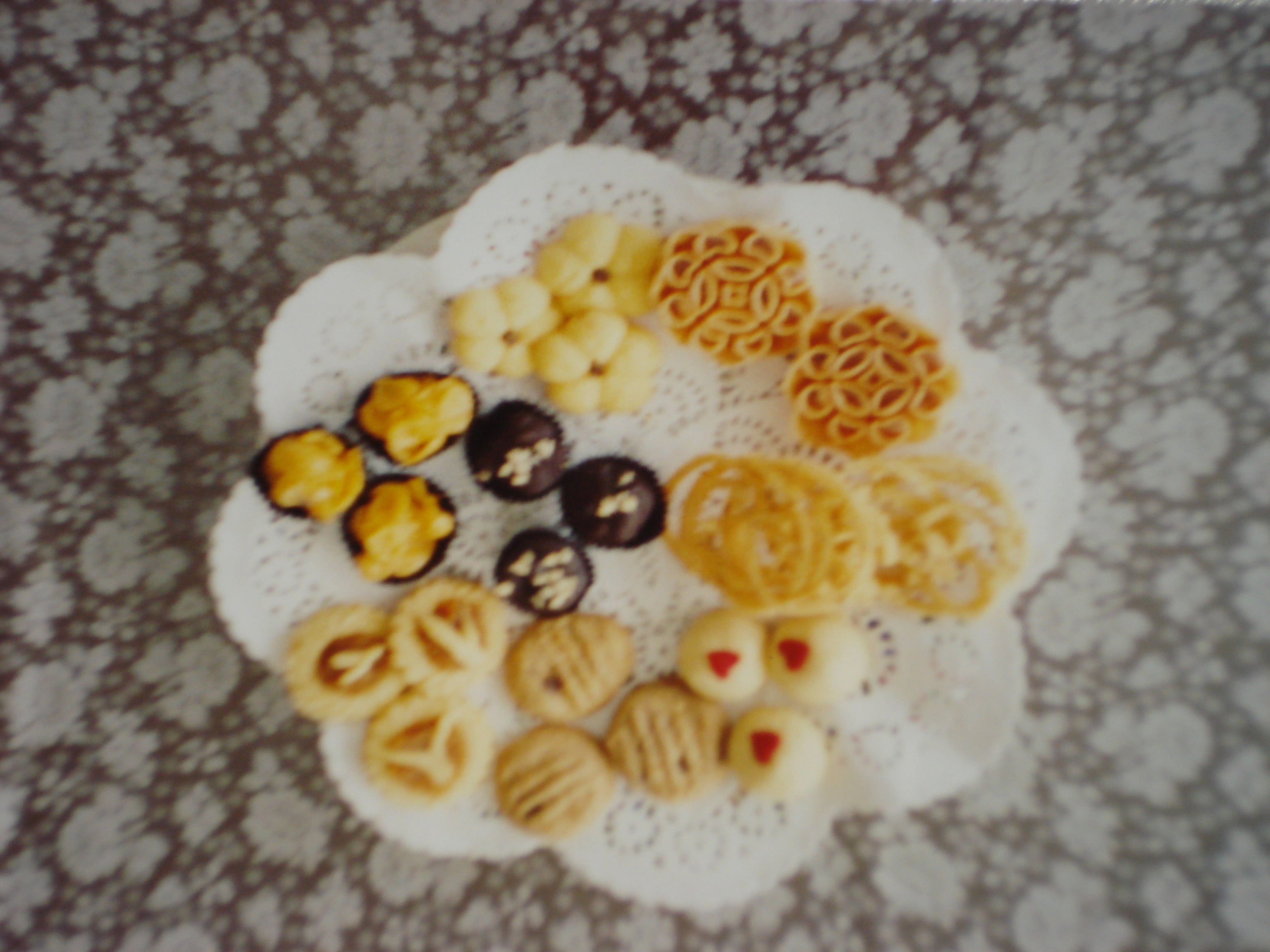 dsc00246.JPG